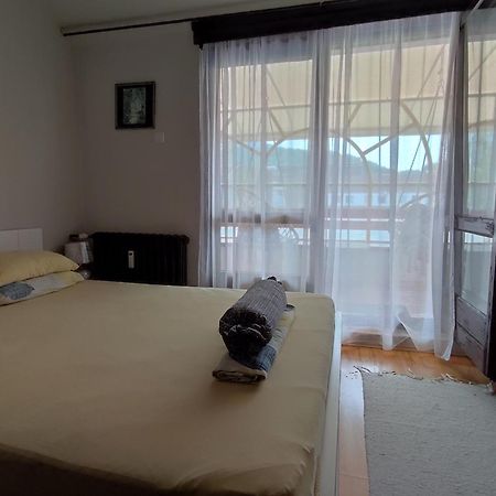 Vila Zora Apartman Banja Koviljača Esterno foto